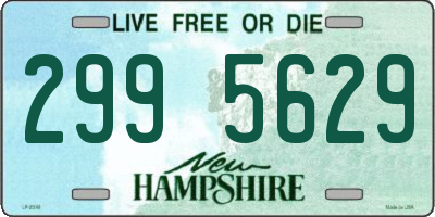 NH license plate 2995629