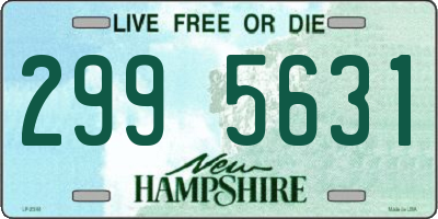 NH license plate 2995631