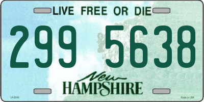NH license plate 2995638