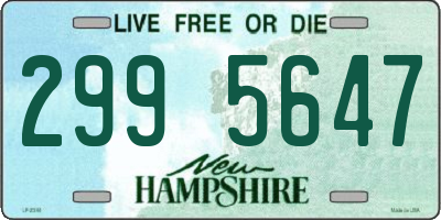 NH license plate 2995647