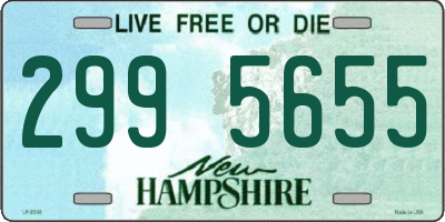NH license plate 2995655