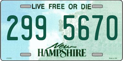 NH license plate 2995670