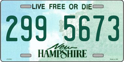 NH license plate 2995673
