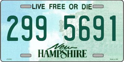NH license plate 2995691