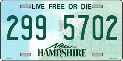 NH license plate 2995702
