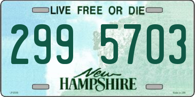 NH license plate 2995703