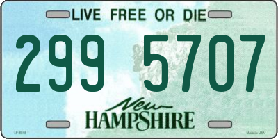 NH license plate 2995707