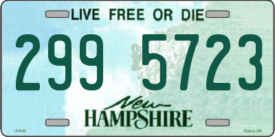 NH license plate 2995723