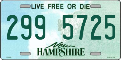 NH license plate 2995725