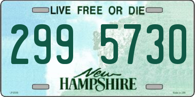 NH license plate 2995730