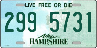 NH license plate 2995731