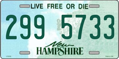 NH license plate 2995733