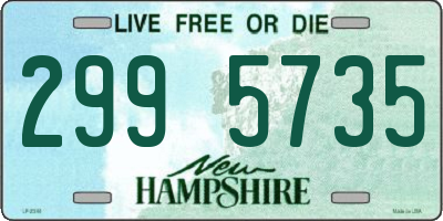 NH license plate 2995735