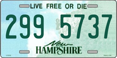 NH license plate 2995737