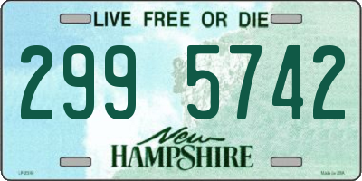 NH license plate 2995742