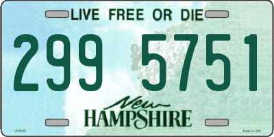 NH license plate 2995751