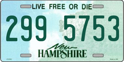 NH license plate 2995753