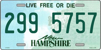 NH license plate 2995757