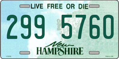 NH license plate 2995760