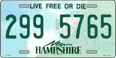 NH license plate 2995765