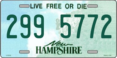 NH license plate 2995772