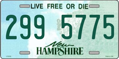NH license plate 2995775
