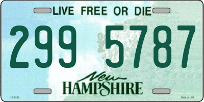 NH license plate 2995787
