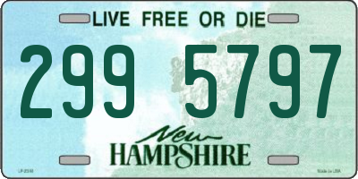 NH license plate 2995797