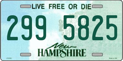 NH license plate 2995825