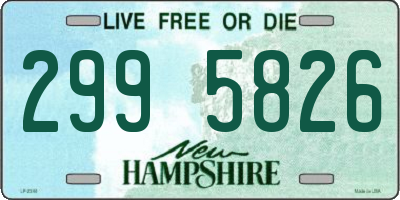 NH license plate 2995826