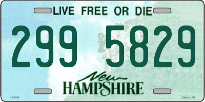NH license plate 2995829