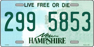 NH license plate 2995853