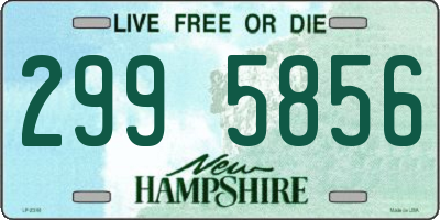 NH license plate 2995856
