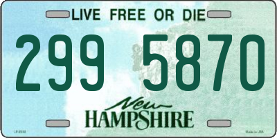 NH license plate 2995870