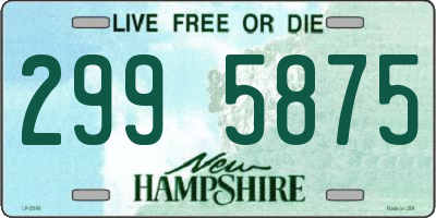NH license plate 2995875