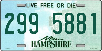 NH license plate 2995881