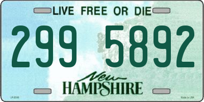 NH license plate 2995892