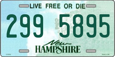 NH license plate 2995895