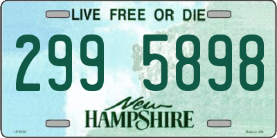 NH license plate 2995898