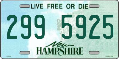 NH license plate 2995925