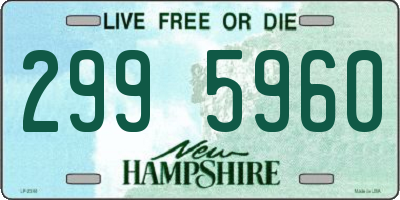 NH license plate 2995960