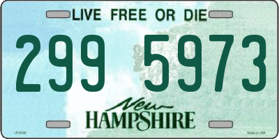 NH license plate 2995973
