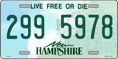 NH license plate 2995978