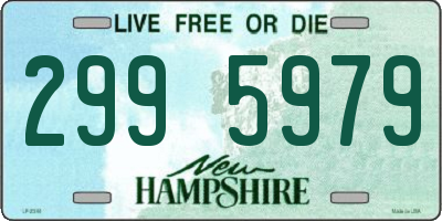 NH license plate 2995979