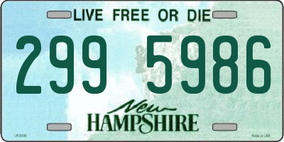 NH license plate 2995986