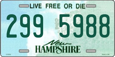 NH license plate 2995988