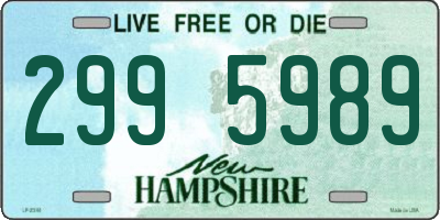NH license plate 2995989