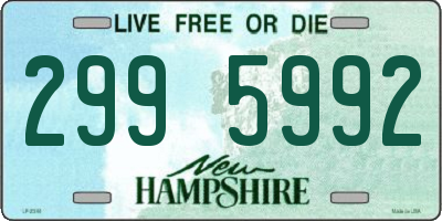NH license plate 2995992
