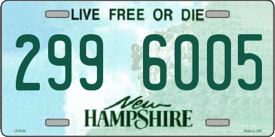 NH license plate 2996005