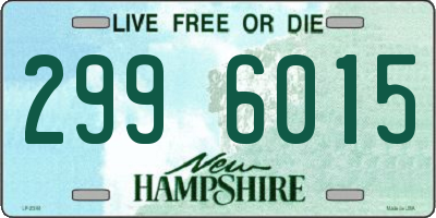 NH license plate 2996015